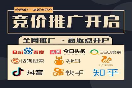 案例解读：网络推广与竞价策略